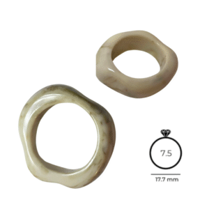 Anillo gusano hueso - unidad