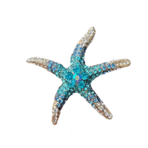 Broche estrella de mar